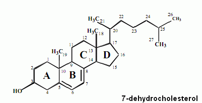 7-dehydrocholesterol